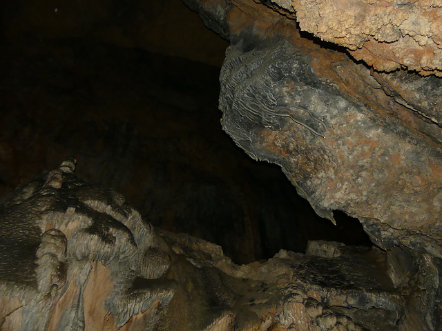 20190621 Foret Parlatges Aven Cave Vitalis (124)