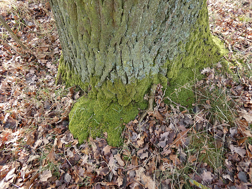 geerdet