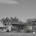 abandoned house in clearing B&W