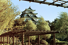 Nagoya Castle (50 19)