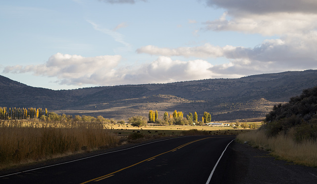 Surprise Valley, CA (0820)