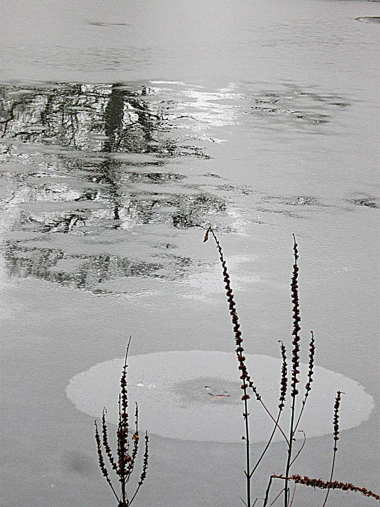 Winter Impressionism