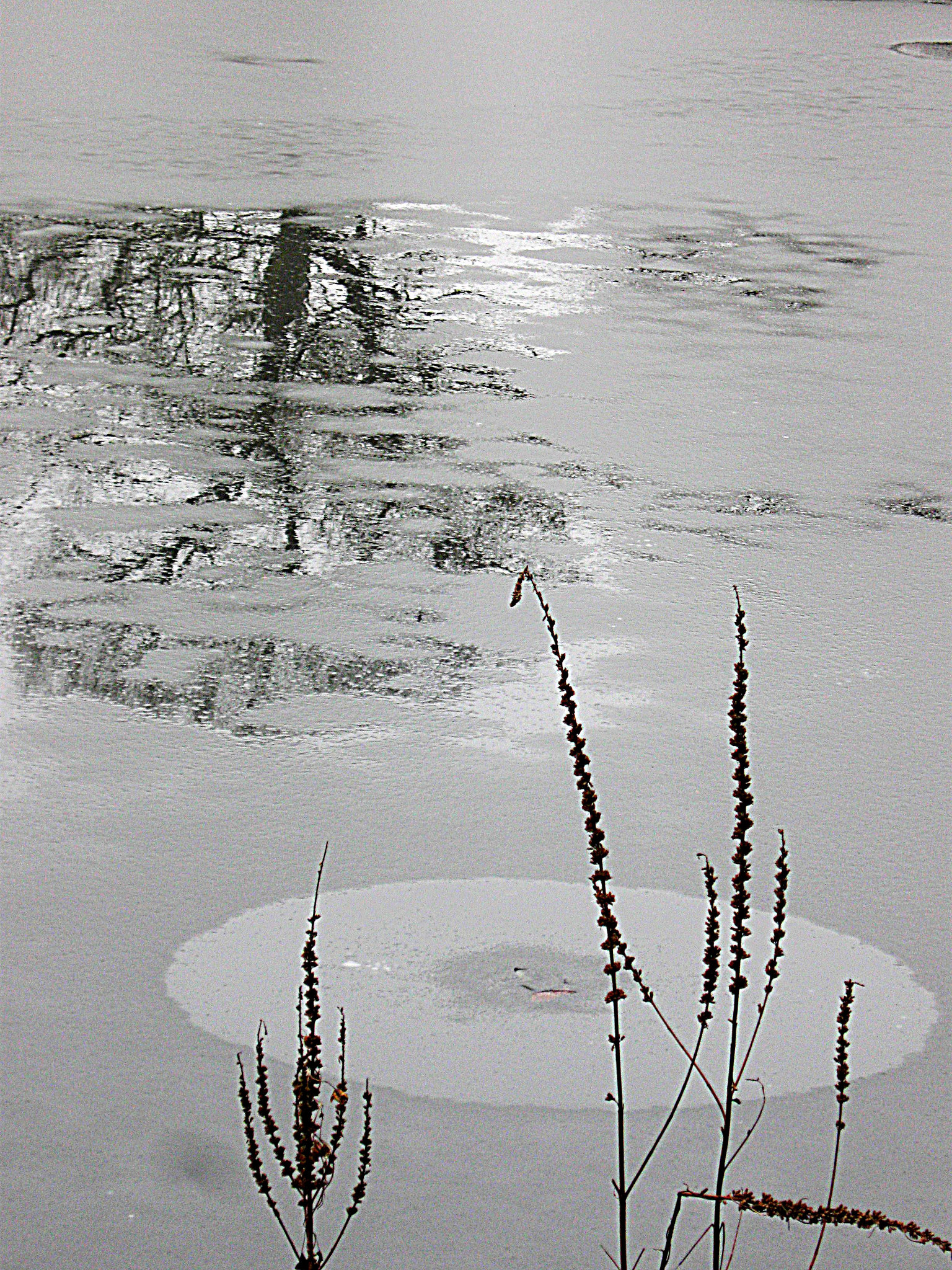 Winter Impressionism