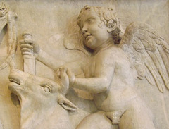 Detail of a Relief with Cupids and Bulls from the Temple of Venus Genetrix in the Naples Archaeological Museum, July 2012