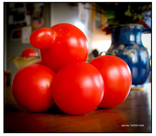Frau TOMATE