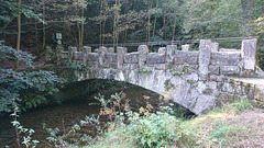 Kirnitzsch-Brücke