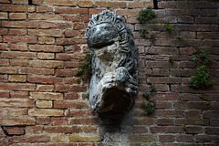 Italy, Siena, Fourth (rightmost) Lion on the Facade of the Fountain of Fontebranda