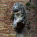 Italy, Siena, Fourth (rightmost) Lion on the Facade of the Fountain of Fontebranda