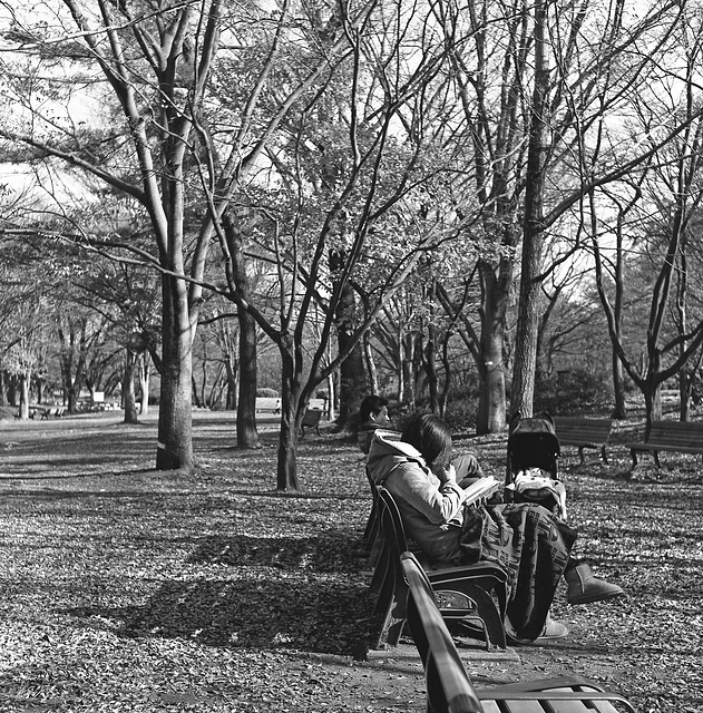 Reading in warm sunshine