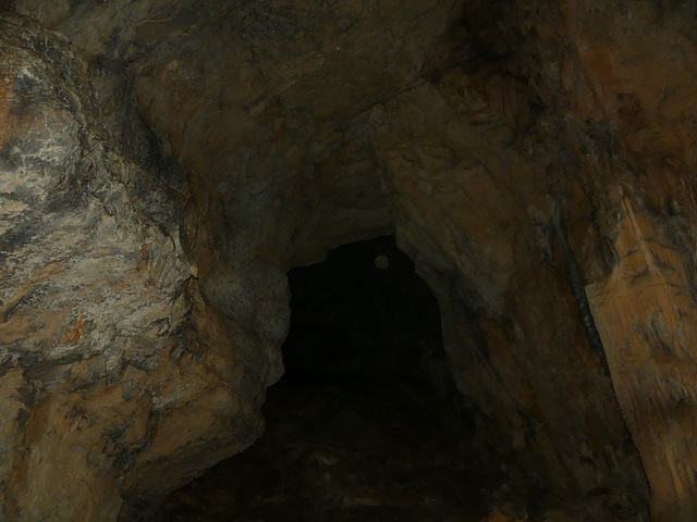 20190621 Foret Parlatges Aven Cave Vitalis (129)