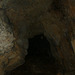 20190621 Foret Parlatges Aven Cave Vitalis (129)