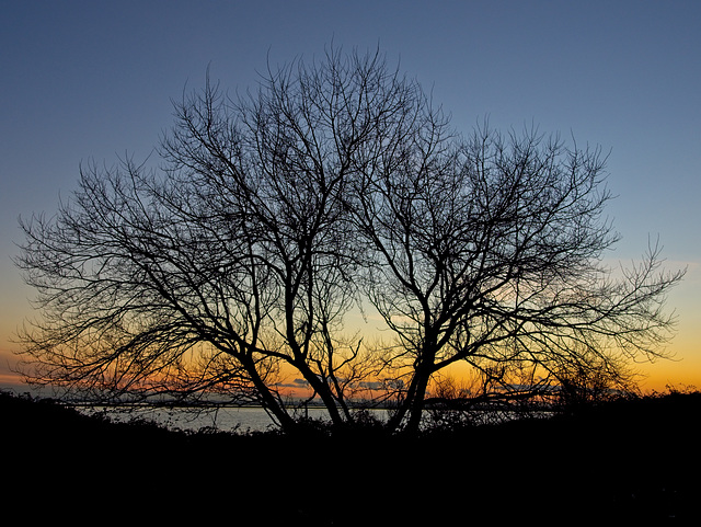 Silhouette and Sunset