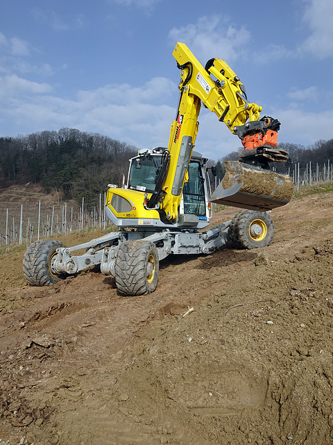 Schreitbagger Menzu Muck im Einsatz im Rebberg an einem Bachlauf