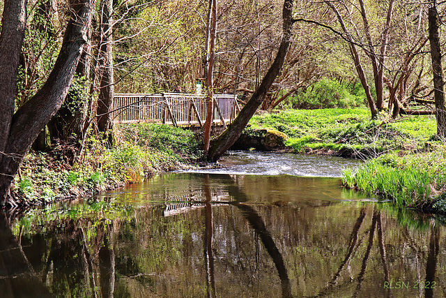 Die Warnow bei Karnin