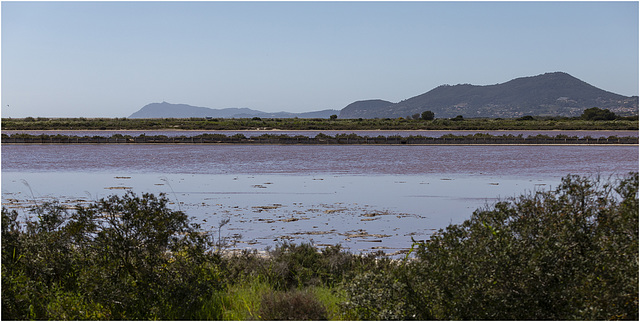 Les salins - Die Salinen - The salt marshes