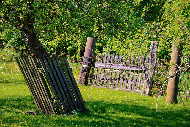 A Fence for Friday