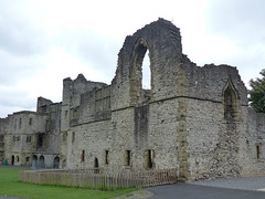 Dudley Castle (8) - 9 September 2016