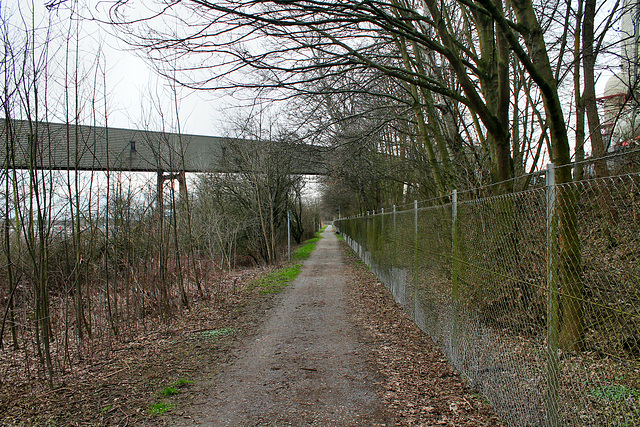 Weg am Rheinufer (Voerde-Möllen) / 4.03.2017