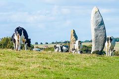 Places - Avebury