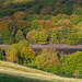 Valehouse Reservoir Autumn