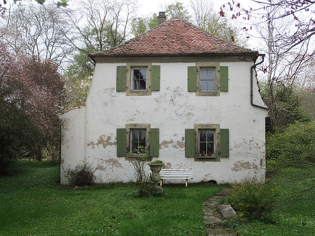 grüne Fensterläden im Grünen