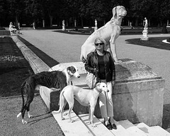 SC145 - Dog and Owner