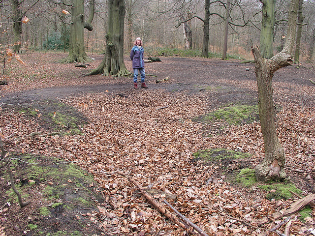 Q-Pit in Ecclesall Woods