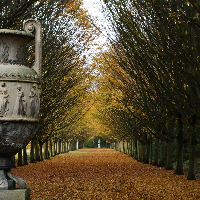 Anglesey Abbey 2011-11-04 059