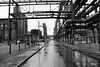 Allee am Drückmaschinengleis (Kokerei Zollverein, Essen-Stoppenberg) / 16.06.2018