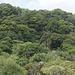 Our last view of a tropical forest in Costa Rica