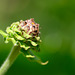 DSCF0587