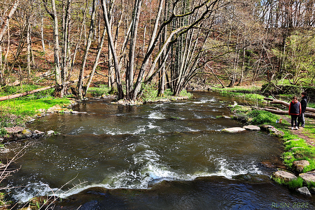 Die Warnow bei Karnin