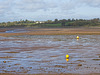 The Estuary