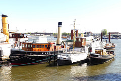 Die Elbe auf der Elbe