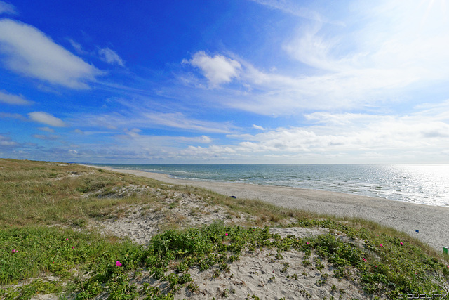 am Strand bei Smiltyne  (© Buelipix)