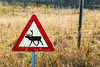 Beware of reindeer