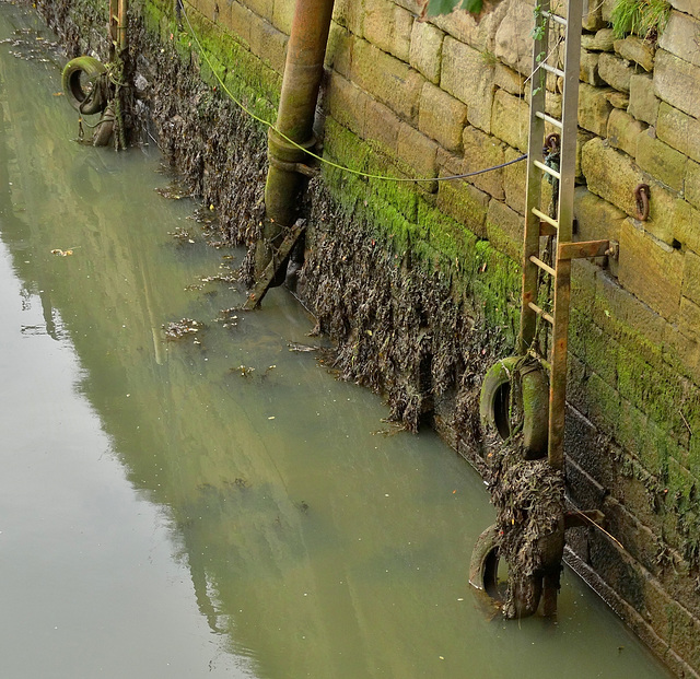 Harbour walls at low tide. Seaton Sluice, Northumberland