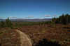 Glen Feshie, Cairngorms, Highlands, Scotland