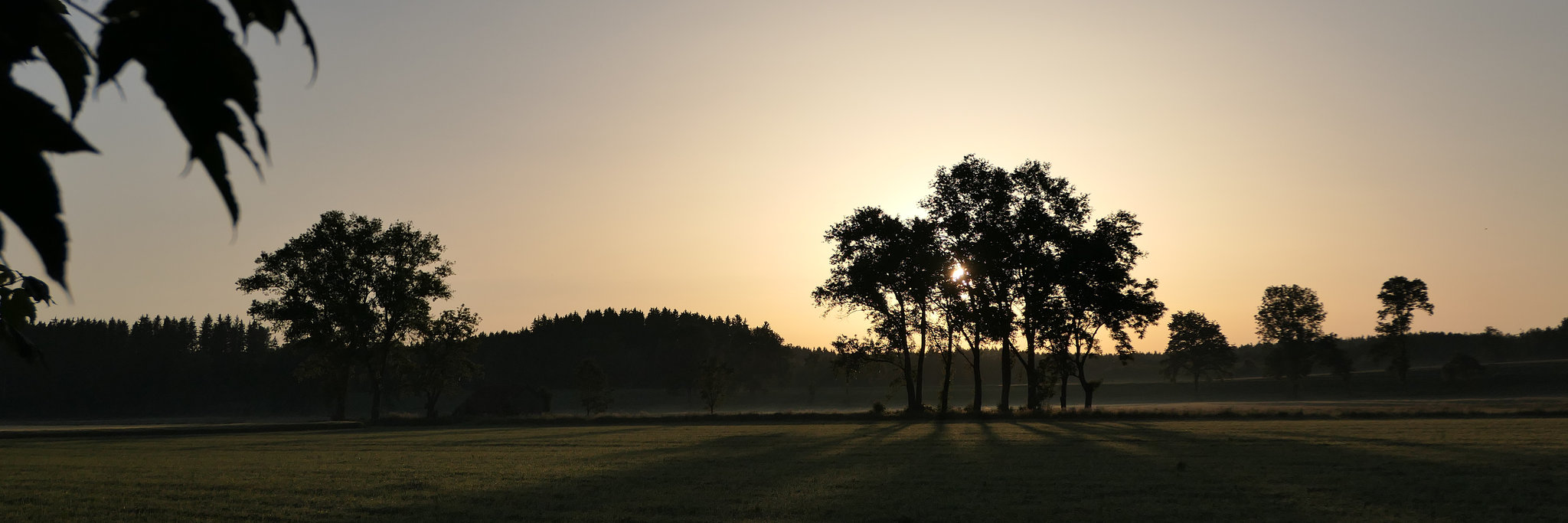 Sonnenaufgang Großried