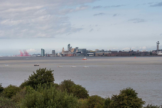 Liverpool from the river park
