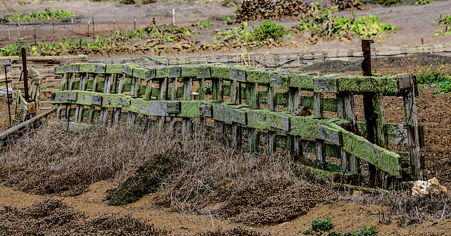 A Fence for Friday