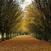 Anglesey Abbey 2011-11-04 058