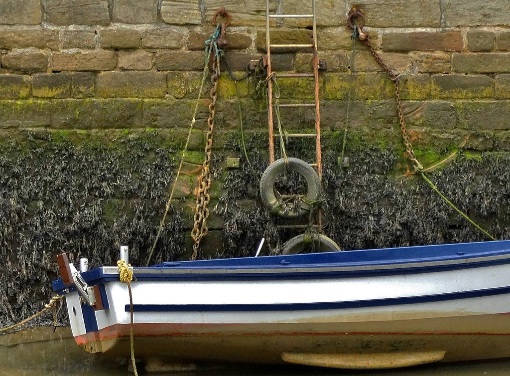 Harbour walls at low tide. Seaton Sluice, Northumberland