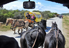 Gegenverkehr auf Hiddensee