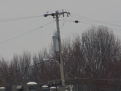 Nashville Electric Service