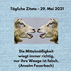 Tägliche Zitate - 29. Mai 2021