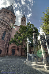 Mainzer Dom 11