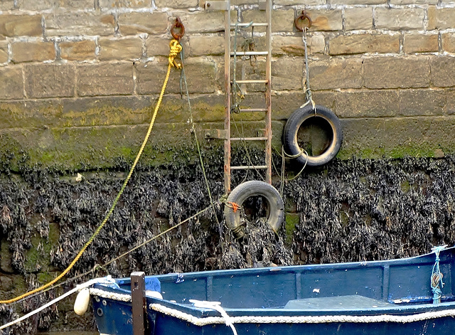 Harbour walls at low tide. Seaton Sluice, Northumberland