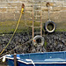 Harbour walls at low tide. Seaton Sluice, Northumberland