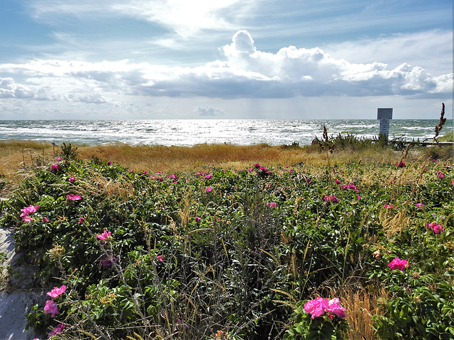 Ostsee vor Hiddensee